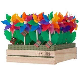 SEEDLING - ВЯТЪРНИ ВЪРТЕЛЕЖКИ В ДИСПЛЕЙ (20 бр.)
